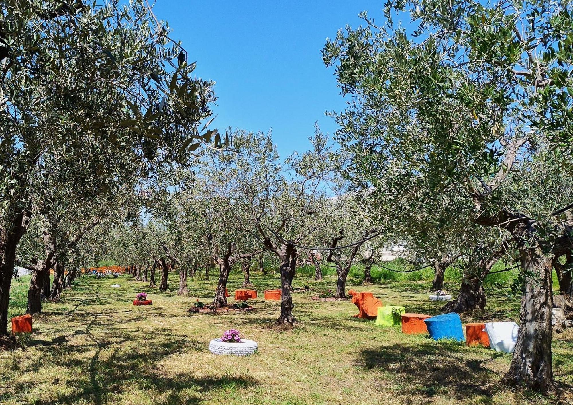 Colline Del Sole Bed & Breakfast San Salvo Bagian luar foto